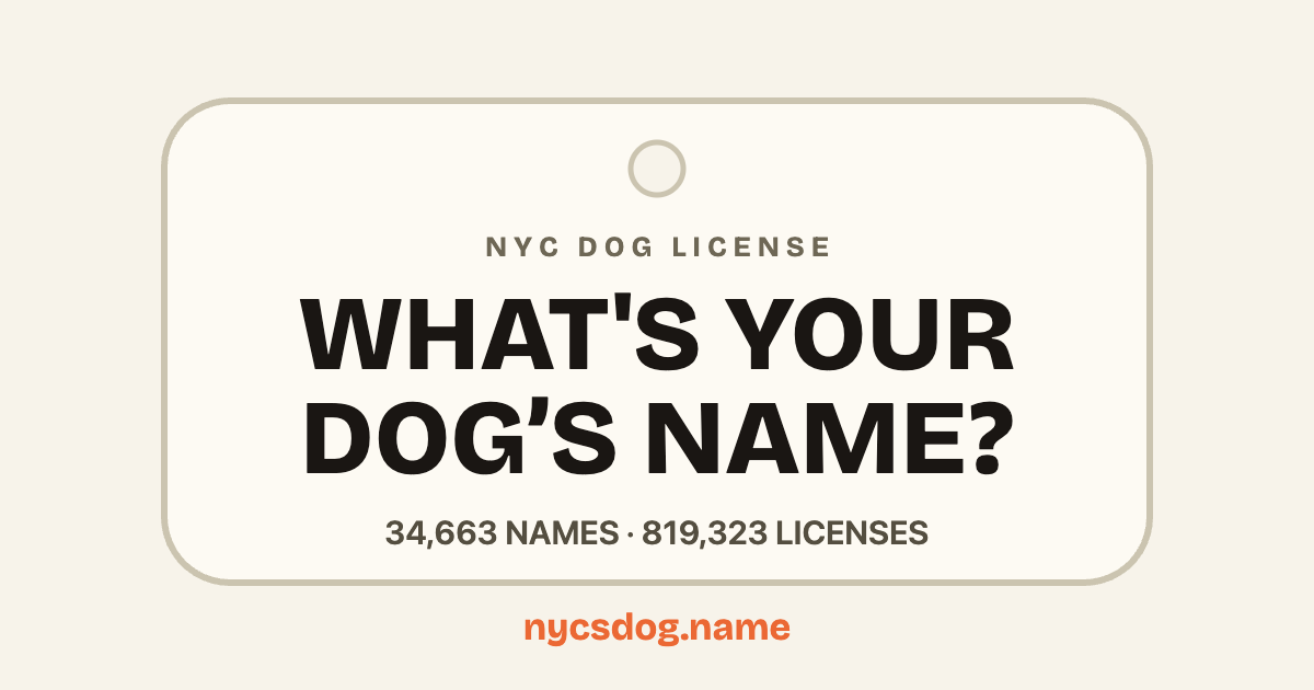 NYC Dog Name Explorer